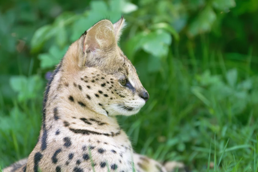 TOUROPARCJUIN23_ZZZ_7530-NEF