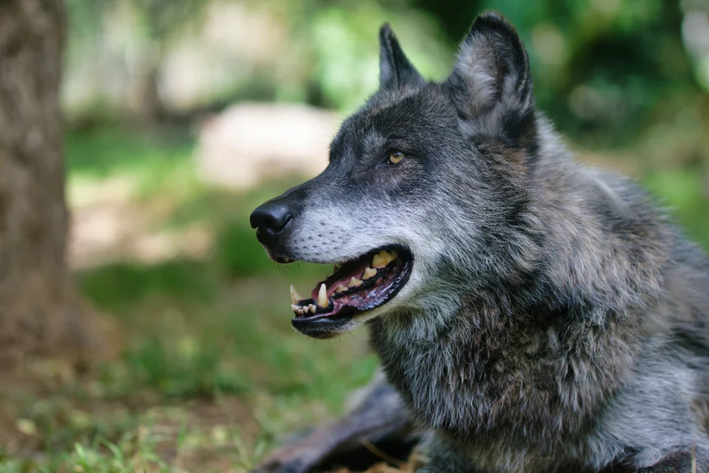 TOUROPARCJUIN23_ZZZ_7901-NEF