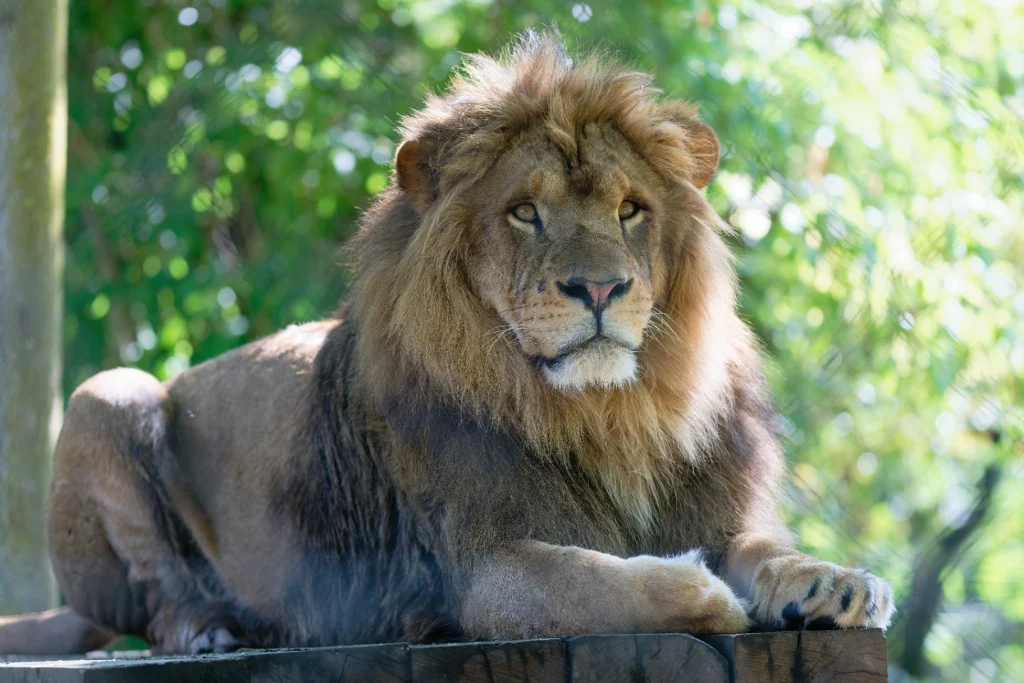 TOUROPARCJUIN23_ZZZ_7199-NEF (1)